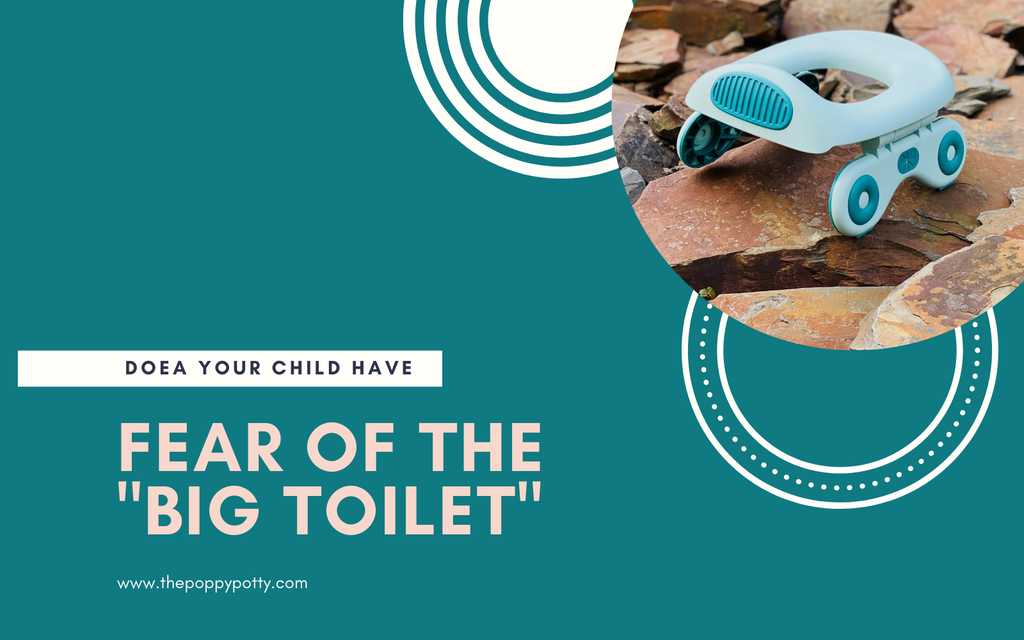 Does Your Child Have a Fear of the Big Toilet?
